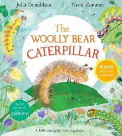 The Woolly Bear Caterpillar - Donaldson, Julia