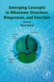 Emerging Concepts in Ribosome Structure, Biogenesis, and Function (eBook, ePUB)