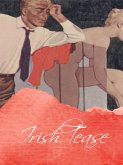 Irish Tease (eBook, ePUB)