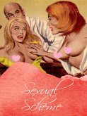 Sexual Scheme (eBook, ePUB)
