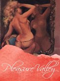 Pleasure Valley (eBook, ePUB)