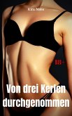 Von drei Kerlen durchgenommen (eBook, ePUB)