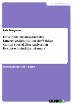 Drosophila melanogaster, das Kurzzeitgedächtnis und der Wildtyp Canton-Special. Eine Analyse mit Hochgeschwindigkeitskamera (eBook, PDF) - Deegener, Falk