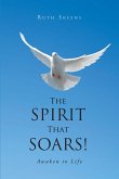 The Spirit that Soars (eBook, ePUB)