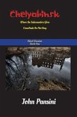 Chelyabinsk: Where the Salamanders Glow Crawdads Do Not Sing (Black Russian, #1) (eBook, ePUB)
