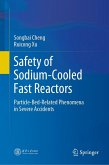 Safety of Sodium-Cooled Fast Reactors (eBook, PDF)