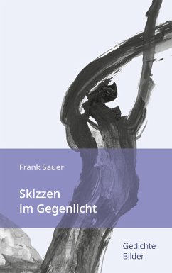 Skizzen im Gegenlicht (eBook, ePUB) - Sauer, Frank