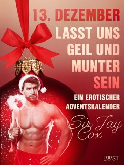 Cover 13. Dezember: Lasst uns geil und munter sein - ein erotischer Adventskalender (eBook, ePUB)