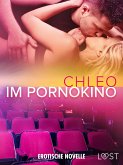 Im Pornokino - Erotische Novelle (eBook, ePUB)