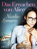 Das Erwachen von Alice - Erotische Novelle (eBook, ePUB)