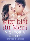 Jetzt bist du Mein - Erotische Novelle (eBook, ePUB)