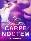 Carpe noctem - Erotische Novelle (eBook, ePUB)