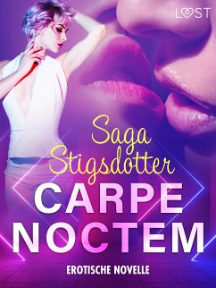 Carpe noctem - Erotische Novelle (eBook, ePUB) - Stigsdotter, Saga