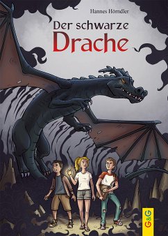 Der schwarze Drache (eBook, ePUB) - Hörndler, Hannes