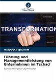 Führung und Managementleistung von Unternehmen im Tschad