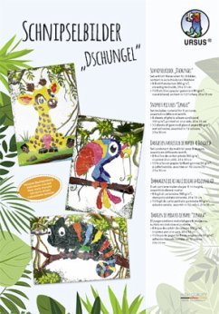 Cover URSUS 8 Schnipselbilder 