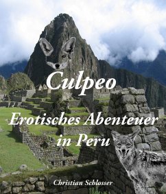 Cover Culpeo - Erotisches Abenteuer in Peru (eBook, ePUB)