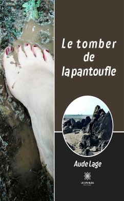 Le tomber de la pantoufle (eBook, ePUB) - Lage, Aude