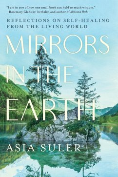 Mirrors in the Earth (eBook, ePUB) - Suler, Asia