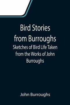 Bird Stories from Burroughs; Sketches of Bird Life Taken from the Works of John Burroughs - Burroughs, John