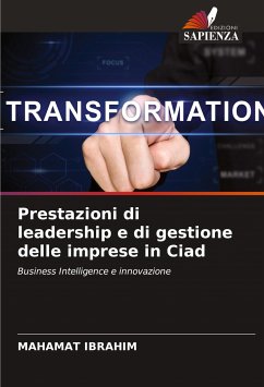 Prestazioni di leadership e di gestione delle imprese in Ciad - Ibrahim, Mahamat