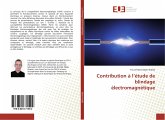 Contribution à l¿étude de blindage électromagnétique