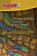 Threshold Bible Study: 1 Corinthians:... - Bild 1