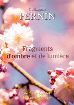 Fragments d'ombre et de lumière - Pernin, Guillaume
