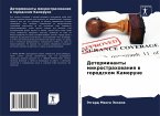 Determinanty mikrostrahowaniq w gorodskom Kamerune Determinanty mikrostrahowaniq w gorodskom Kamerune