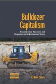 Bulldozer Capitalism (eBook, ePUB)