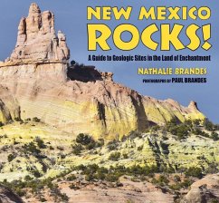 New Mexico Rocks!: A Guide to Geologic Sites in the Land of Enchantment - Brandes, Nathalie