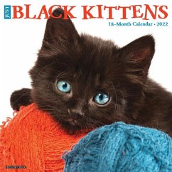 Just Black Kittens 2022 Wall Calendar - Willow Creek Press