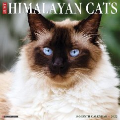 Just Himalayan Cats 2022 Wall Calendar (Cat Breed) - Willow Creek Press