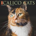 Just Calico Cats 2022 Wall Calendar (Cat Breed)
