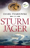 Sturmjäger (eBook, ePUB)