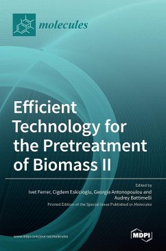Efficient Technology for the Pretreatment of Biomass II