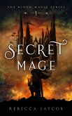 Secret Mage (Blood Magic, #1) (eBook, ePUB)