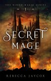Secret Mage (Blood Magic, #1) (eBook, ePUB) Secret Mage (Blood Magic, #1) (eBook, ePUB)
