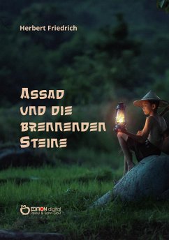 Cover Assad und die brennenden Steine (eBook, ePUB)