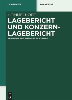 Lagebericht und Konzernlagebericht - Hommelhoff, Peter