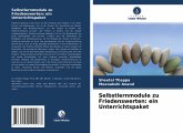 Selbstlernmodule zu Friedenswerten: ein Unterrichtspaket