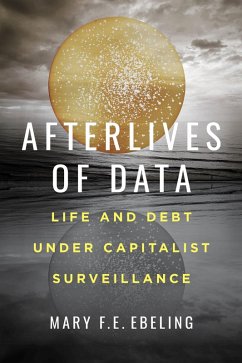 Cover Afterlives of Data (eBook, ePUB)