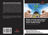 Water-saving agricultural patterns generated with water footprinting