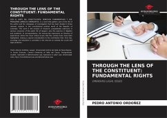 Cover THROUGH THE LENS OF THE CONSTITUENT: FUNDAMENTAL RIGHTS