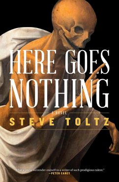 Here Goes Nothing (eBook, ePUB) - Toltz, Steve