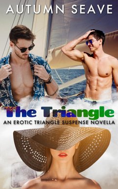 The Triangle (eBook, ePUB) - Seave, Autumn