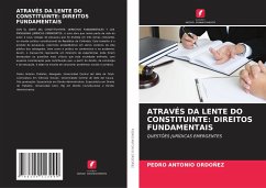 ATRAVÉS DA LENTE DO CONSTITUINTE: DIREITOS FUNDAMENTAIS - ORDOÑEZ, PEDRO ANTONIO