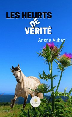 Les heurts de vérité (eBook, ePUB) - Aubet, Ariane