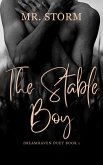 The Stable Boy (Dreamhaven Duet, #1) (eBook, ePUB) The Stable Boy (Dreamhaven Duet, #1) (eBook, ePUB)