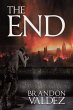 THE END (eBook, ePUB) - Bild 1
